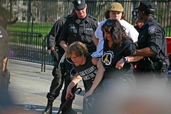 Elaine and Matthis arrested